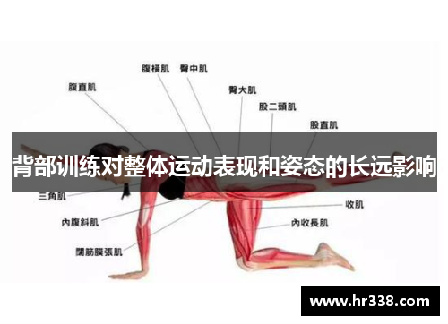 背部训练对整体运动表现和姿态的长远影响